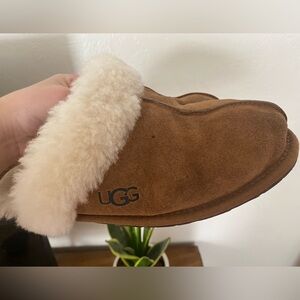 Women's UGG Slippers